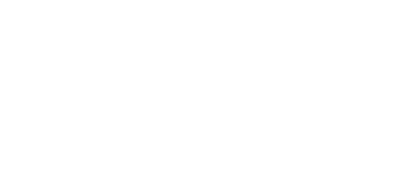 Canadian Council for Aviation & Aerospace logo